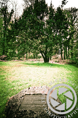 Florencecourt (31 of 43)