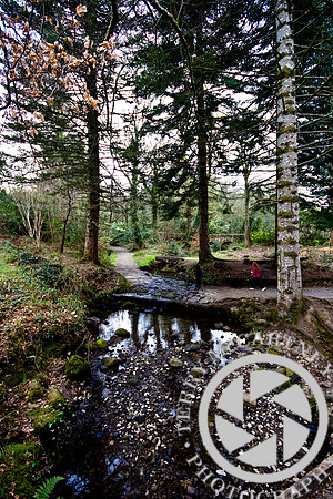 Florencecourt (30 of 43)