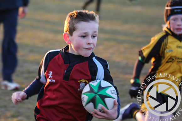 Enniskillen Mini rugby v Letterkenny (22 of 27)
