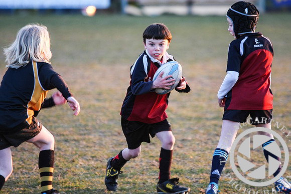 Enniskillen Mini rugby v Letterkenny (24 of 27)