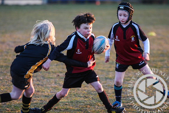 Enniskillen Mini rugby v Letterkenny (25 of 27)