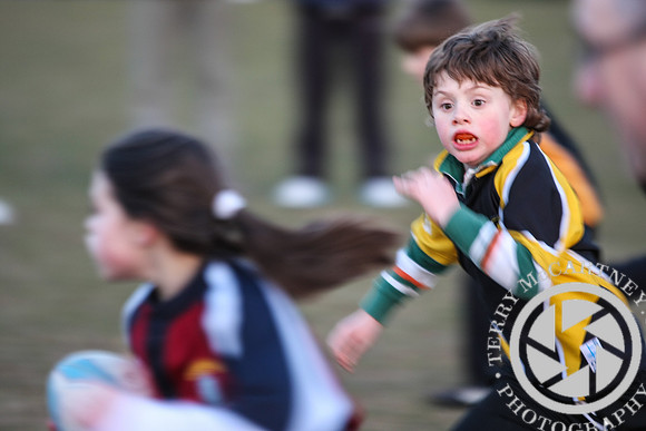 Enniskillen Mini rugby v Letterkenny (26 of 27)